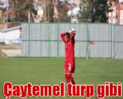 Çaytemel turp gibi