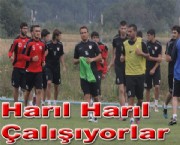 Harıl Harıl Çalışıyorlar