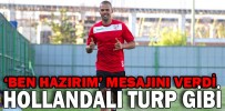 HOLLANDALI TURP GİBİ
